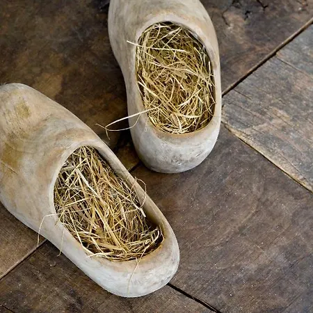 Maison Bed and breakfast